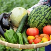 Thực phẩm hữu cơ là gì? 